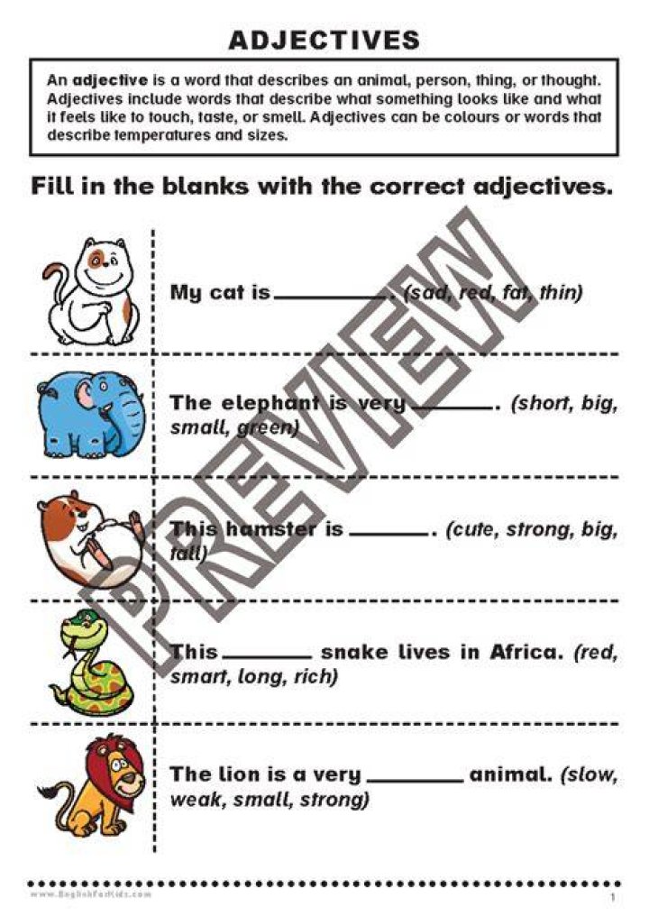 preview for Fill in the blank with Alexa Chung