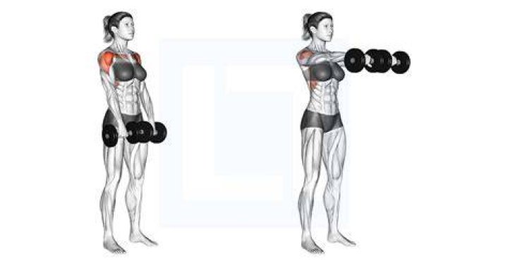 preview for Front Raise | Form Check