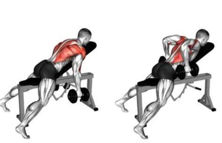 preview for The Chest-Supported Row Is Best for Beginners - Beginner's Guide to Muscle