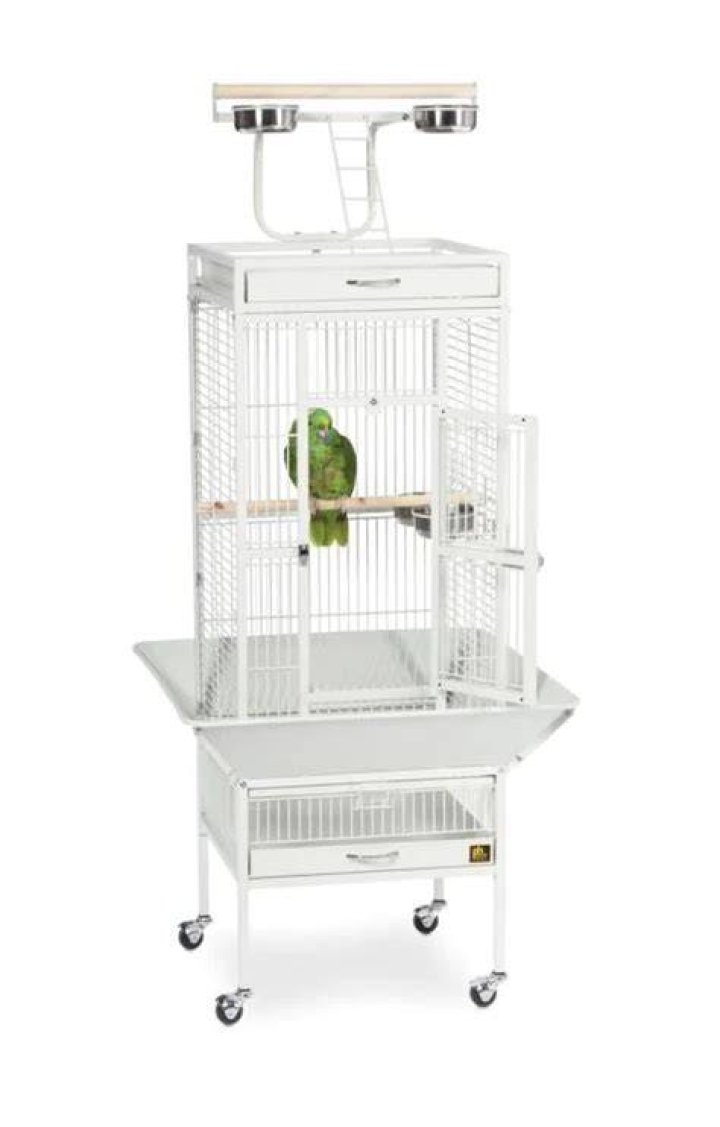 Prevue Hendryx Signature Series Wrought Iron Bird Cage