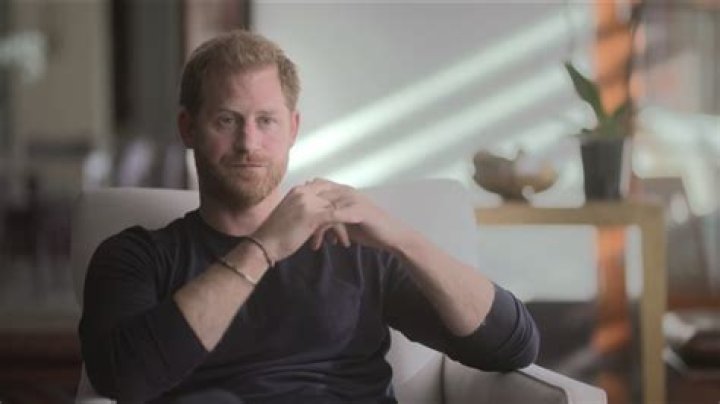 Prince Harry Diagnosed With 'ADD' During Live Interview With Canadian Therapist