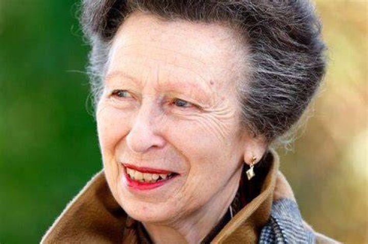 Princess Anne has been handed the prestigious role of Gold-Stick-in-Waiting at her brother King Charles' coronation. Photo / Getty Images