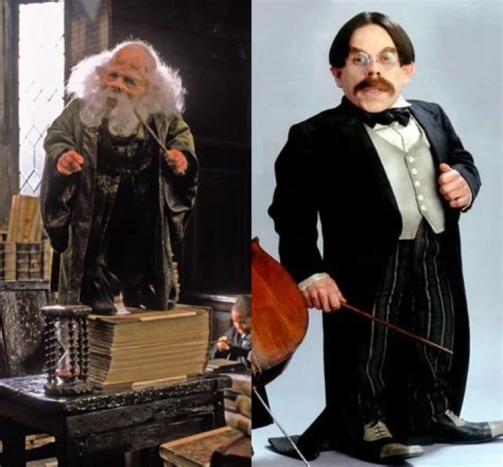 Professor Flitwick Warwick Davis Harry Potter Cover