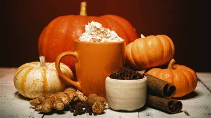 Pumpkin spice now has its own entry in the dictionary. Photo / Merriam-Webster dictionary