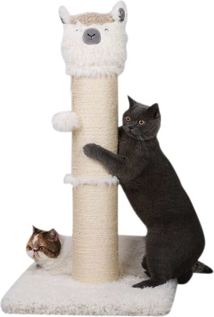 PutnPurr Tall Alpaca Cat Scratching Post