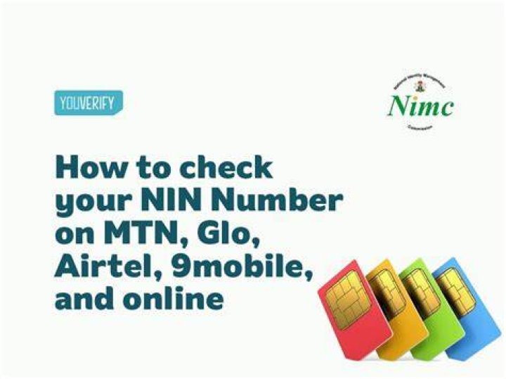 Quick New Glo NIN Code to Link SIM And vNIN Registration Explained