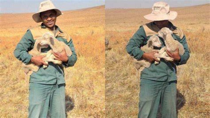 R34 000 Raised for Farmer After SA Comes Through: 