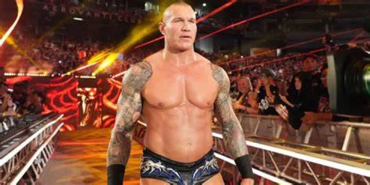 randy orton reaching for the tag