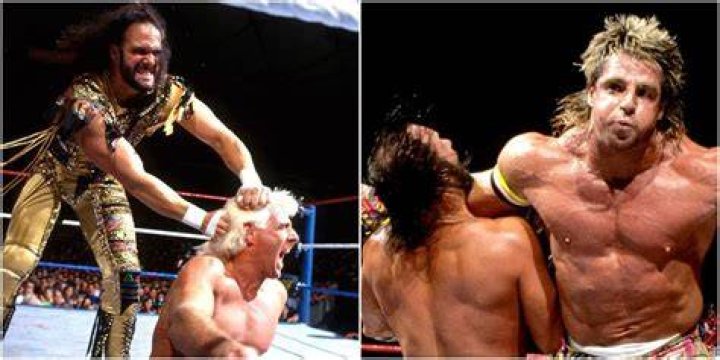 Randy Savage's Last 10 WWE PPV Matches, Ranked From Worst To Best