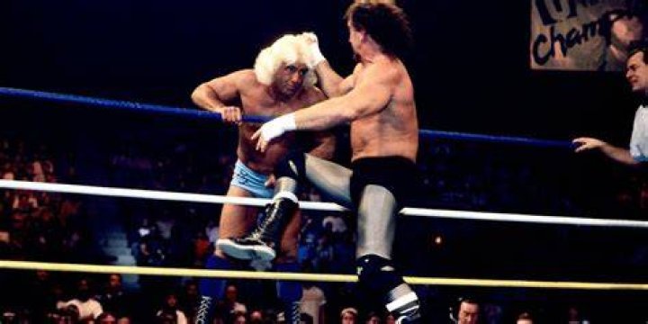 RIC FLAIR VS TERRY FUNK
