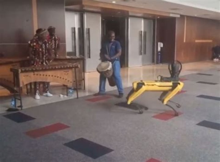 Robot Dog in TikTok Video Dances to Marimba and African Drums at AI Expo Event, SA Amused