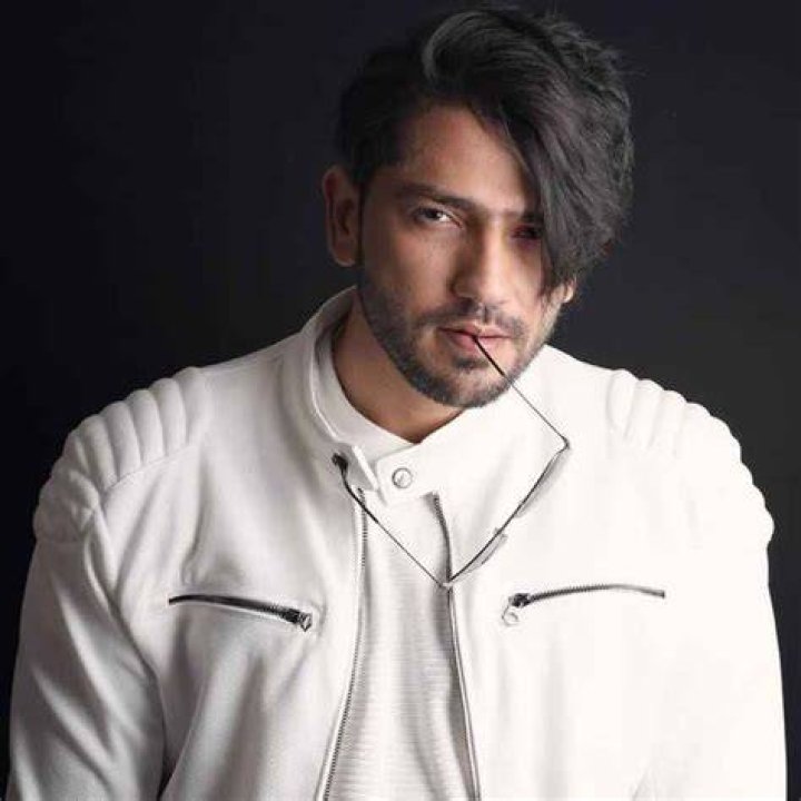 Romil Chaudhary Height, Affairs, Age, Net Worth, Bio and More