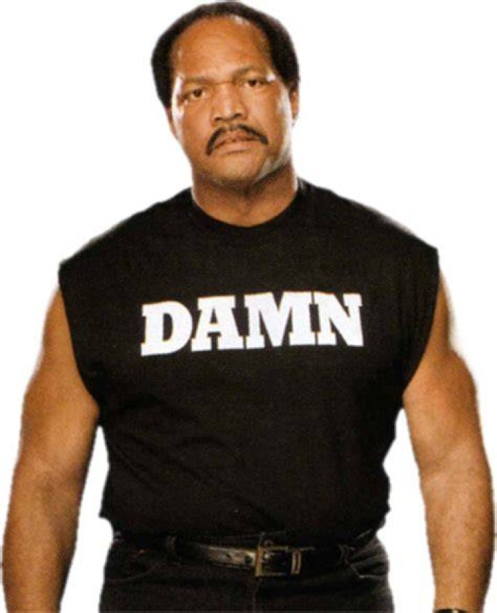 Ron Simmons Damn