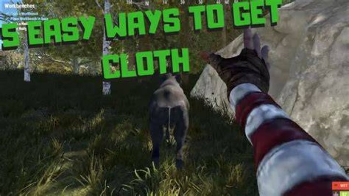 Rust: How To Get Cloth