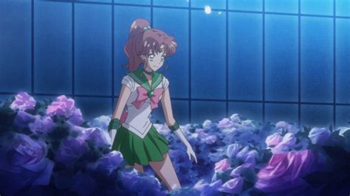 Sailor Jupiter with flowers