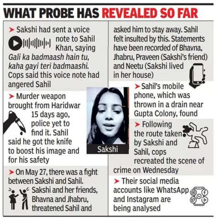 Sakshi Murdered By Sahil | Sakshi Sinha Murder Case | Wiki