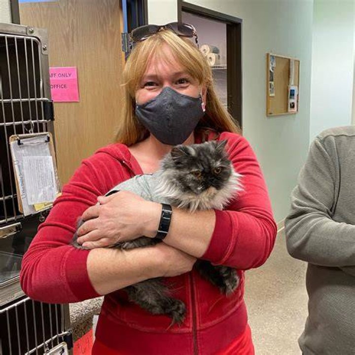 Salem Friends of Felines needs community's help to survive, thrive