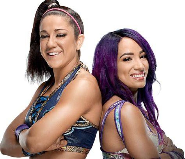 Sasha Banks wrestling Bayley