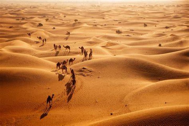 Saudi Arabia Saudi Arabia