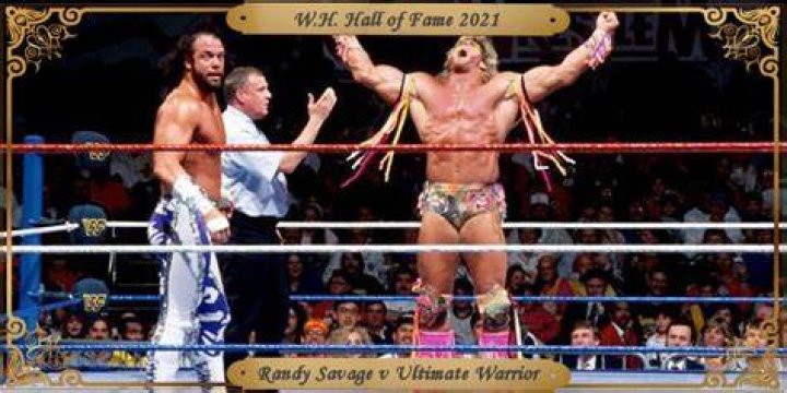 Savage v Warrior