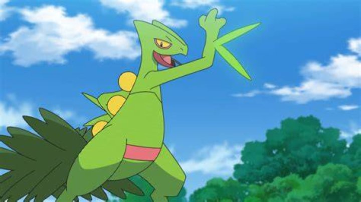 Sceptile Pokemon