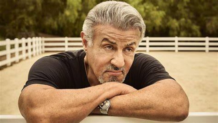 Seageoh Stallone 2024: A Look Into His Life And Future
