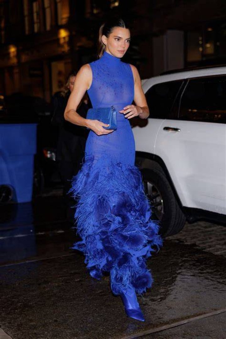 See Kendall Jenner Look Stunning in a See-Through Feathered Gown
