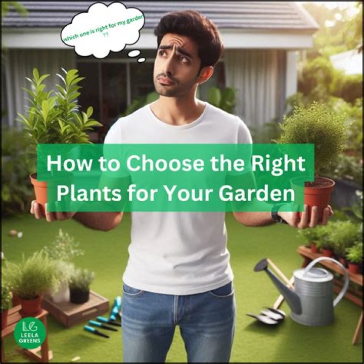Setting up a New Garden: Choose the Right Site