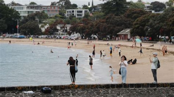 Sewage overflow: Which Auckland beaches are safe for swimming