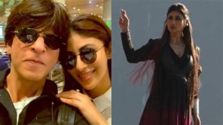 Shah Rukh Khan, Mouni Roy, and other's clicked at Smriti Irani's daughter's wedding reception