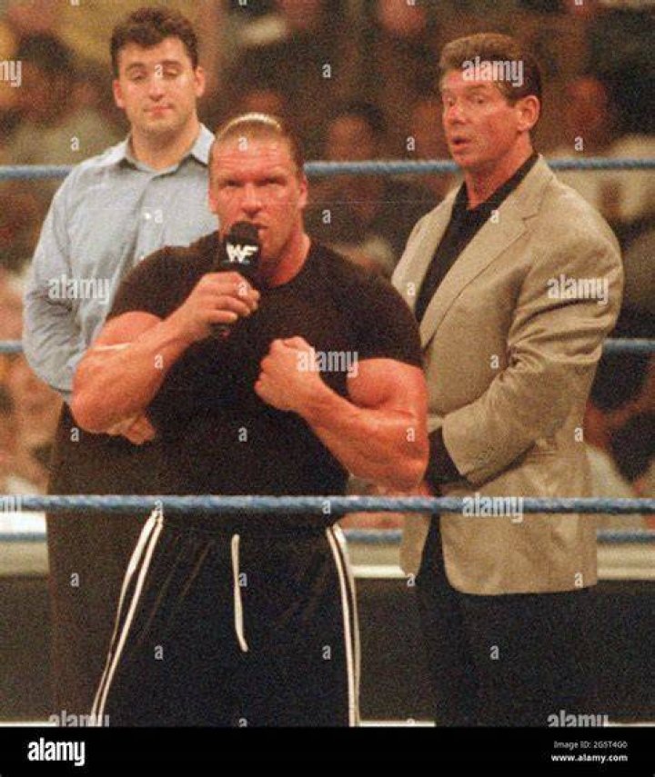 Shane McMahon and Triple H