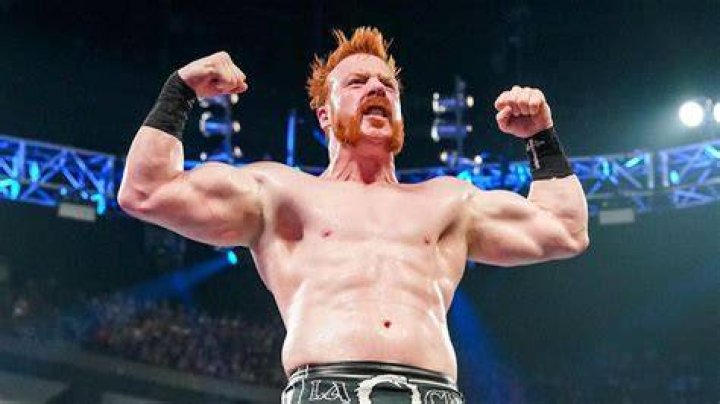 Sheamus' Incredible Rookie Year In WWE, Explained