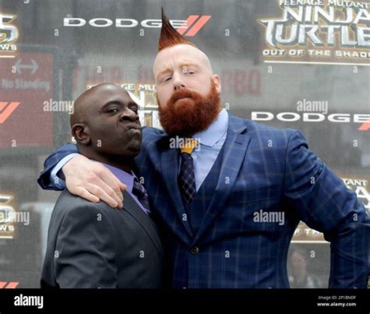 Sheamus in Teenage Mutant Ninja Turtles: Out Of The Shadows