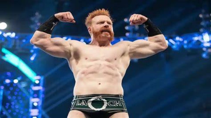 Sheamus wins WWE Title
