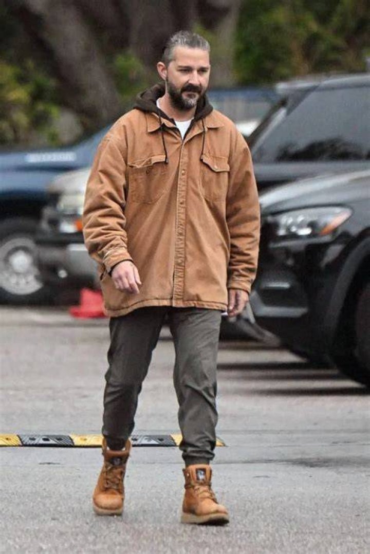 Shia LaBeouf, seen here in the film Wall Street 2 : Money Never Sleeps, denies all of the allegations alleged against him by Sia and FKA Twigs. Photo / Supplied 