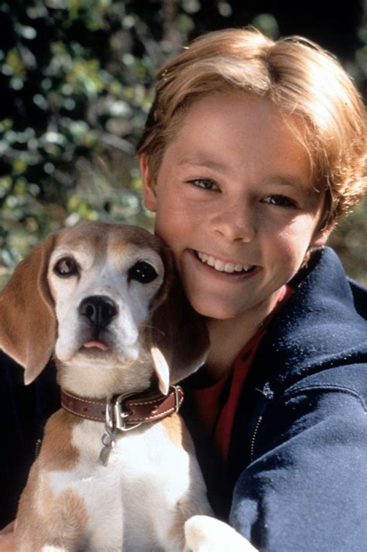 Shiloh Child Star Blake Heron Dies at 35