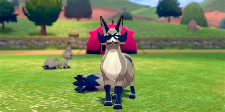 Shiny Thievul outside a camp