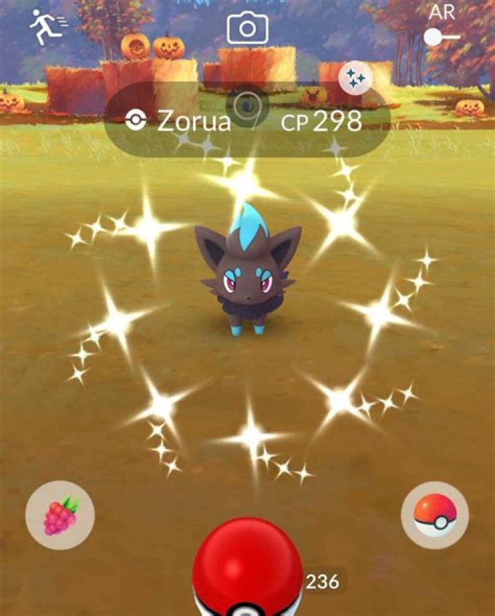 Shiny Zorua | Bulbagarden