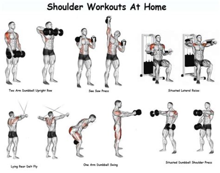Shoulder, Exercise equipment, Free weight bar, Physical fitness, Arm, Strength training, Gym, Standing, Joint, Barbell, shoulder, exercise equipment, free weight bar, physical fitness, arm, strength training, gym, standing, joint, barbell,