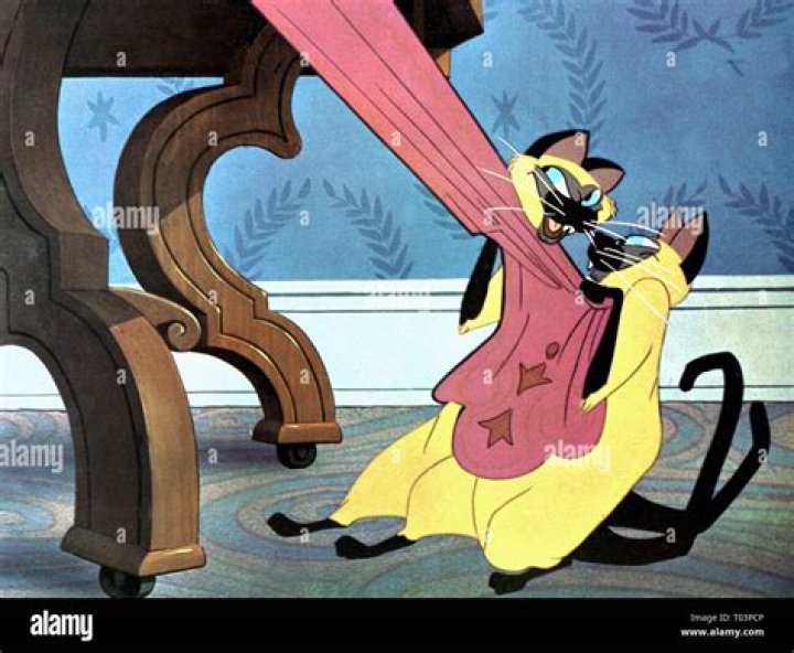 Siamese Cats Lady and the Tramp