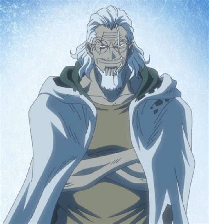 Silvers Rayleigh The Dark King by bodskih on DeviantArt