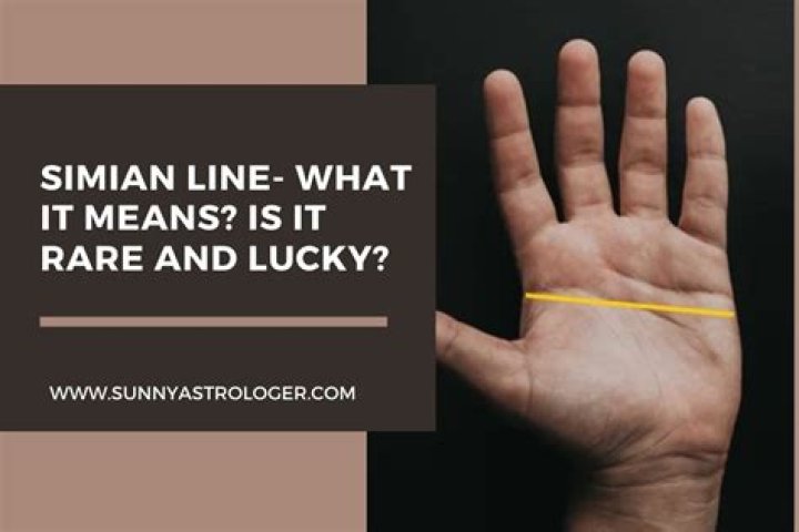 Simian Line: Find Out Simian Line Meaning, Effects, and More!