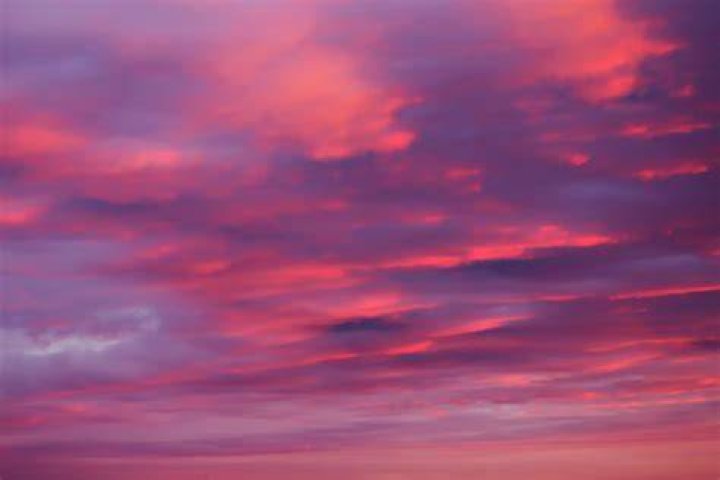 Sky, Red, Light, Pink, Fun, Smoke, Tree, Cloud, Event, Festival, 