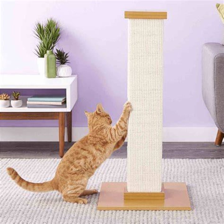 SmartCat Pioneer Pet Ultimate Scratching Post