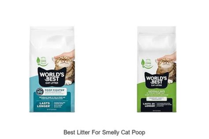 Smelly cat poop in litter box