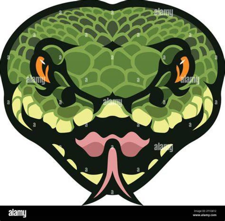 snake head