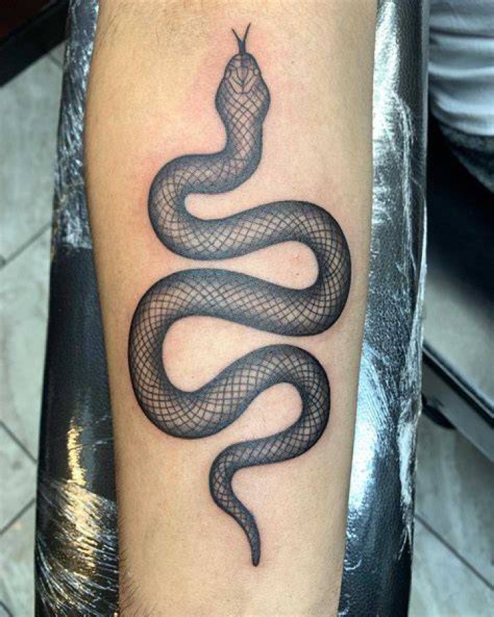 Snake Tattoo