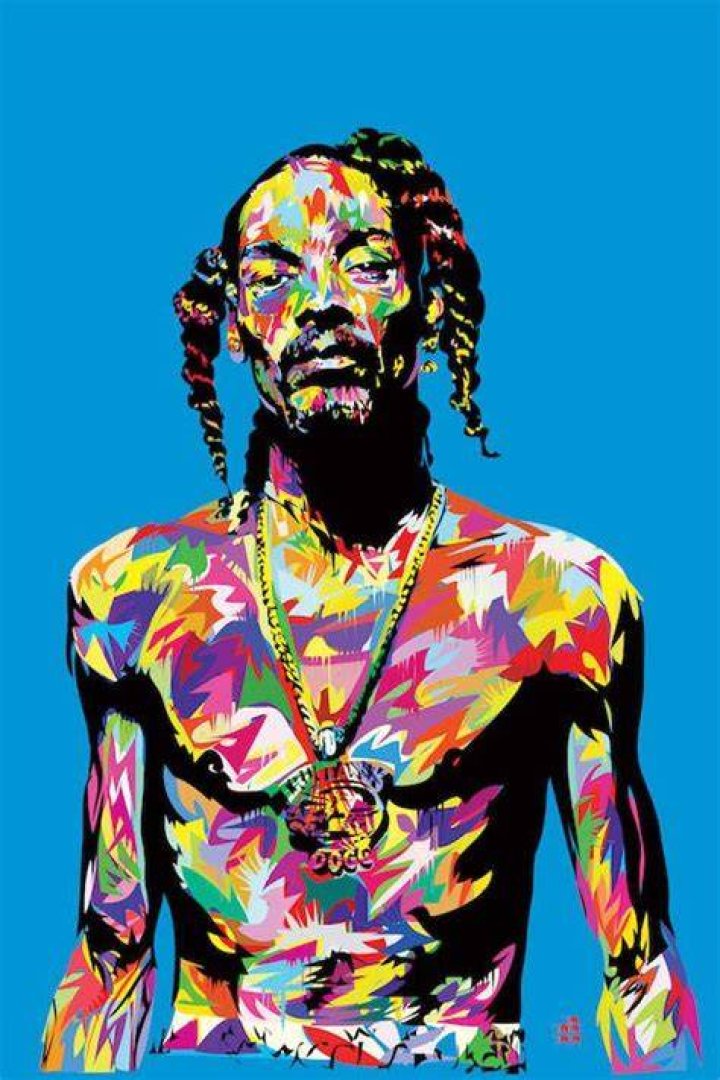 Snoop Dog Abstract Art. High Quality. OpenArt