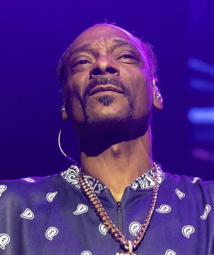Snoop Dogg's Criminal Background: A Deep Dive Into His Past