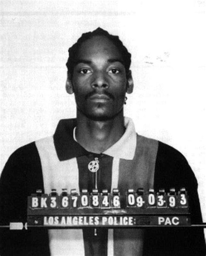 Snoop Dogg Arrested History A Deep Dive Into His Legal Troubles